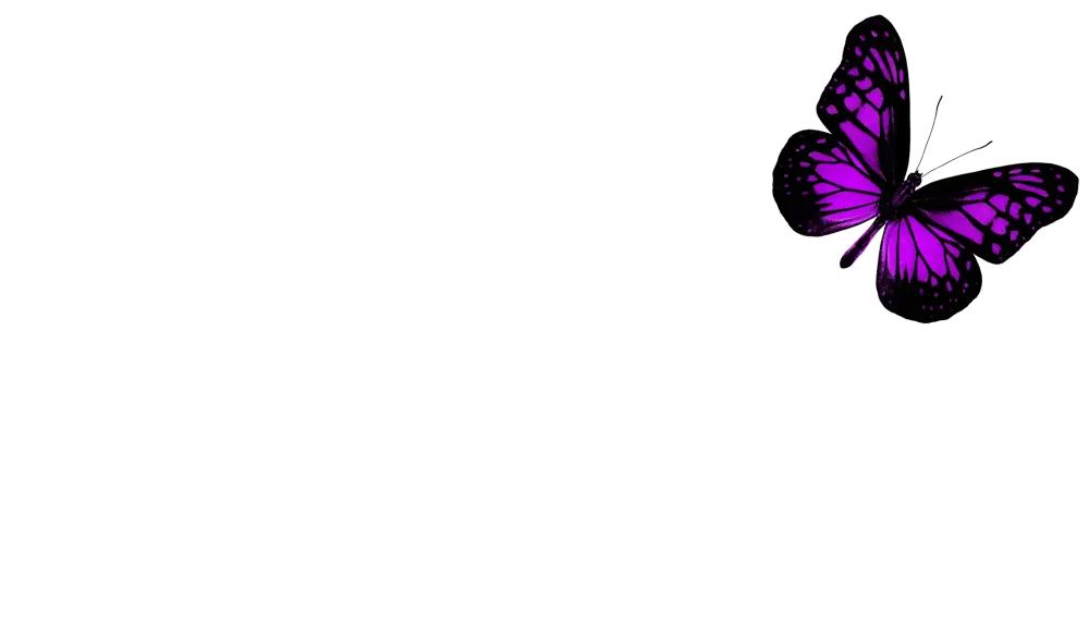 SAS Aubermas Taxi violet